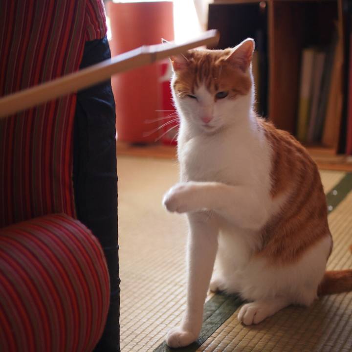 79b9a182 8546 443a 9922 dcbddc0d00c7