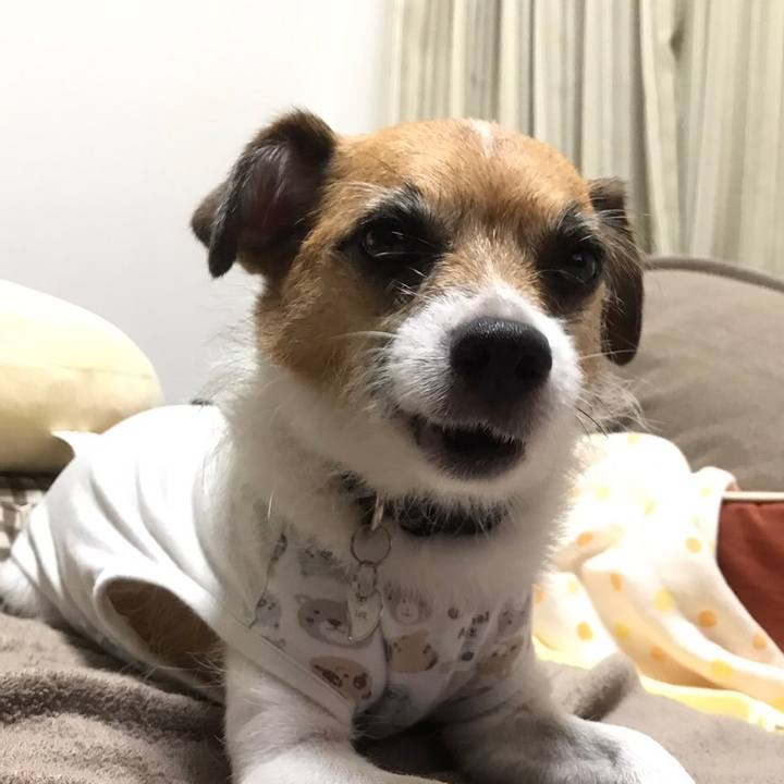 79b9bfd1 908e 4713 ba2c 18f704cbc645