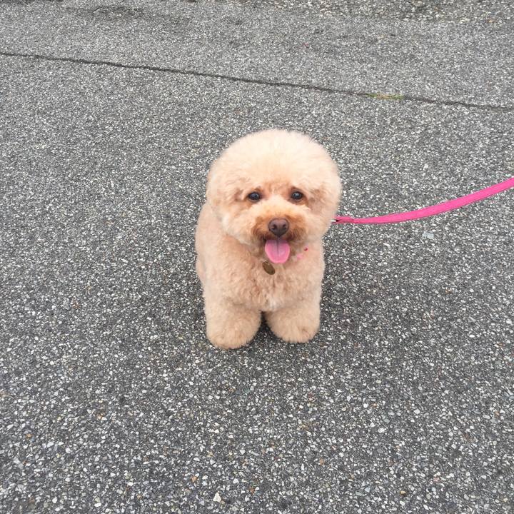 79b9c765 e565 4be4 a4c8 d3d0dd48dada