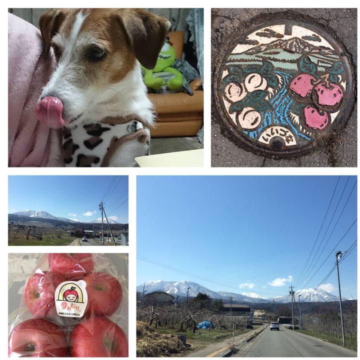 79ba36ed 1038 4867 945d 282085aa140d