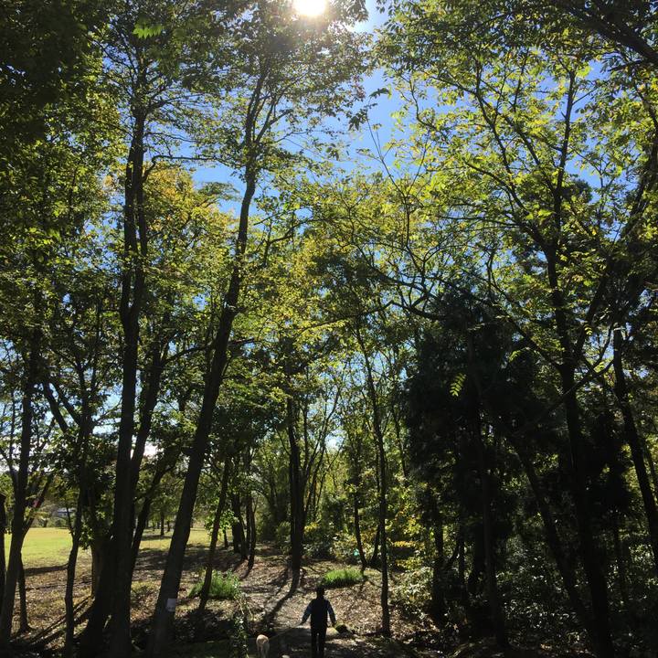 79ba3abc c256 4a7a 8710 b6548168a132