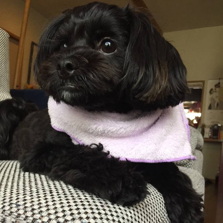 79bab096 42e0 4c44 a65f 6fc16d3db1a9