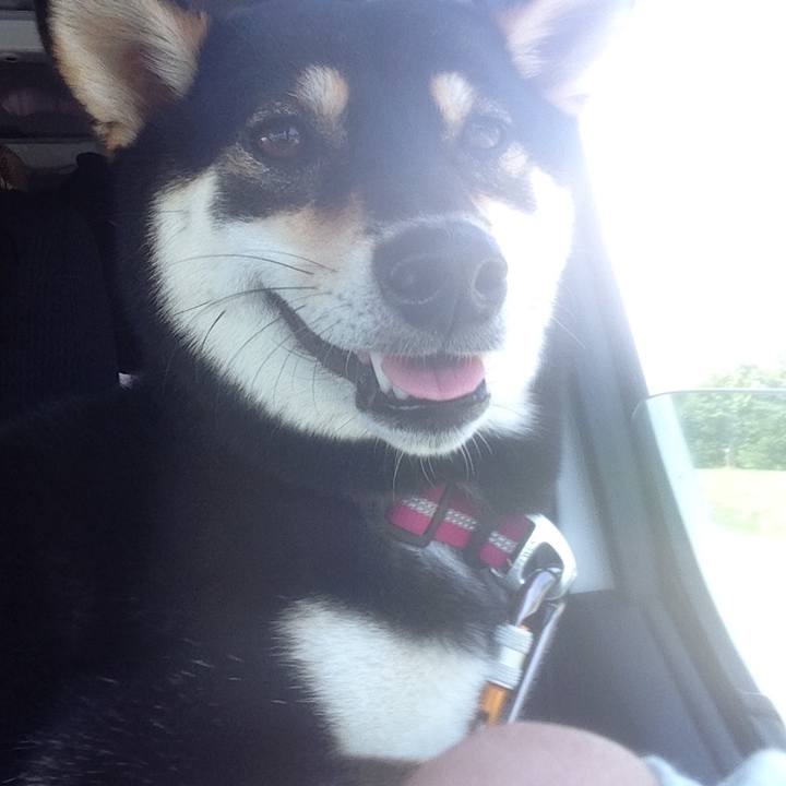 79bb0f36 e85d 45ef 8831 40b7fd51d719