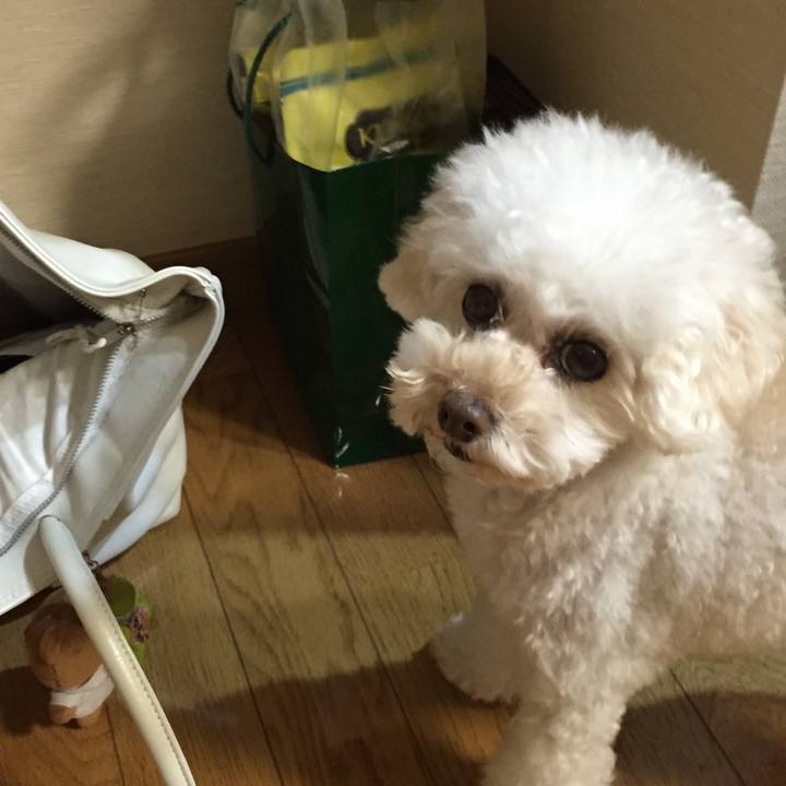 79bb2473 b646 4ae1 93a0 8fedbda902b9