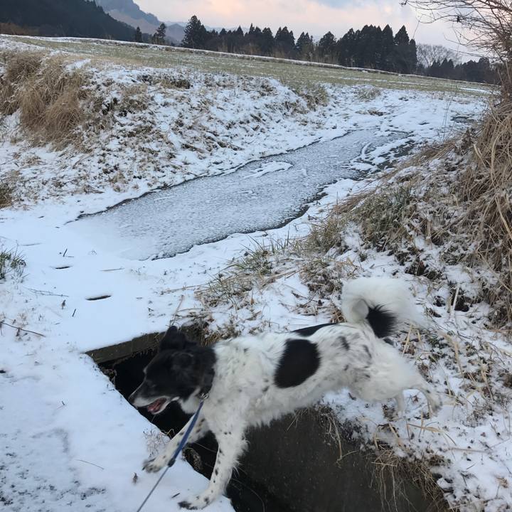 79bbff37 8c29 44ad 8428 b0aaad4037f3