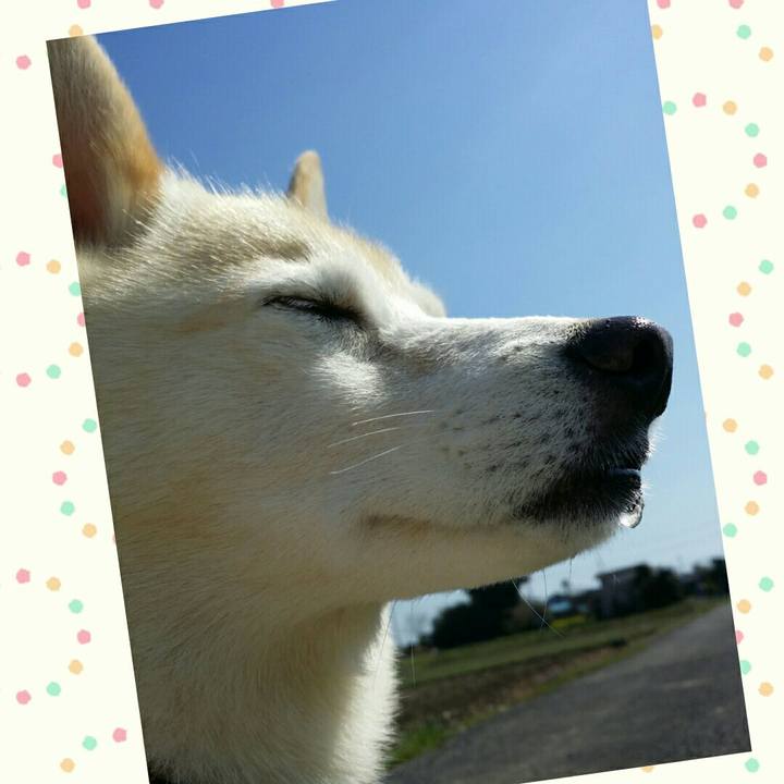 79bcaf35 ec8c 4990 9a07 6c3aa8961d81