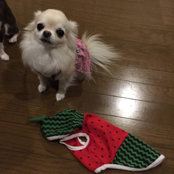 79bce0e5 a883 4224 9b31 299187b43559