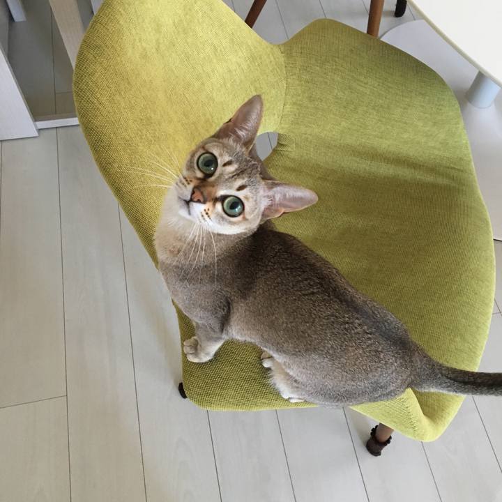 79bd0653 9597 43e8 ab17 316cd24a29c3