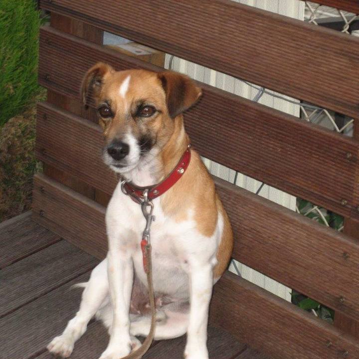 79bd724a 2c58 480c 9893 23d818c447e9