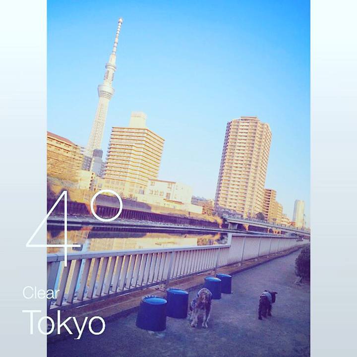 79be194a 318d 43f1 8667 2a925d0fa7ac