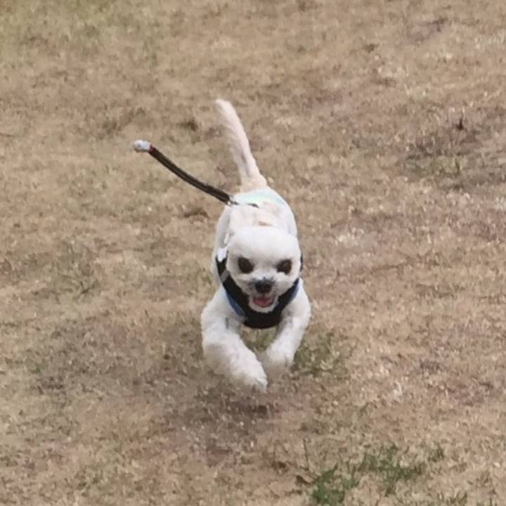 79be479c cf1e 4f90 bcd7 8822a1d71388