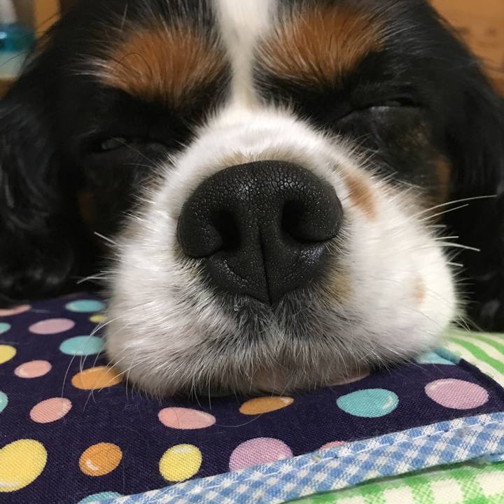 79be75d2 c18c 4fd7 a410 f4fb3b8d3836