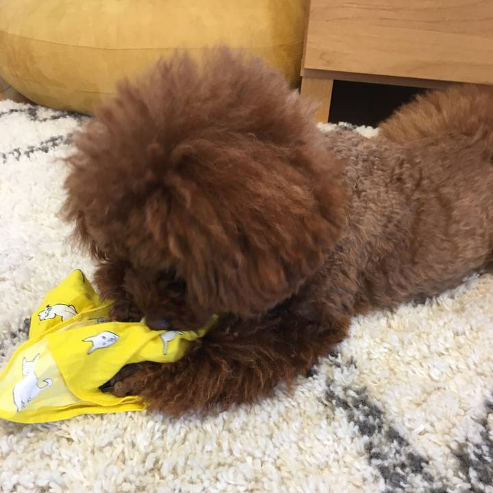 79bf44f9 05a4 441f 8261 f34c1a28c894