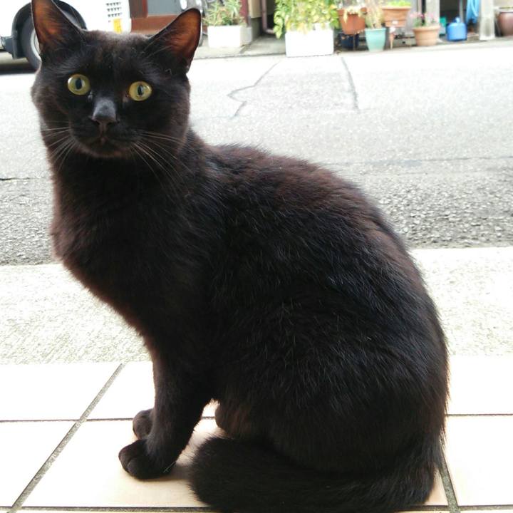 79c15713 8a16 42e5 b6ea eee46c3b3903