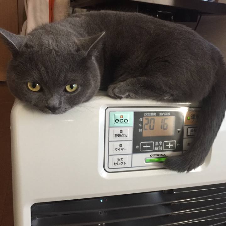 79c176a5 0a2c 4cb0 9170 1238c5aeaab0