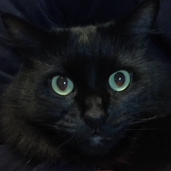 79c17eac d1b5 41db a18a c5c1a02c0e21