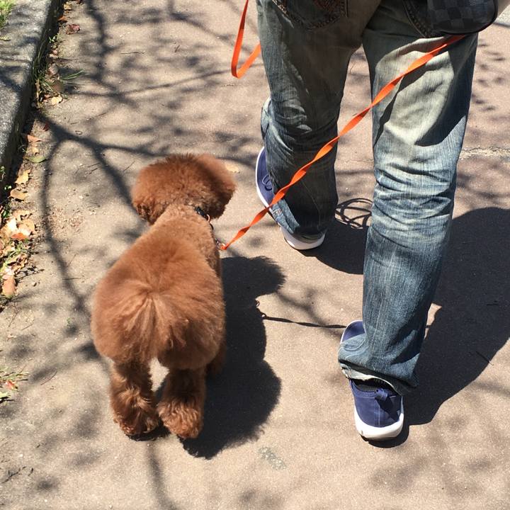 79c1c681 ffb4 4f2f aa55 d2cc22fa3ddf