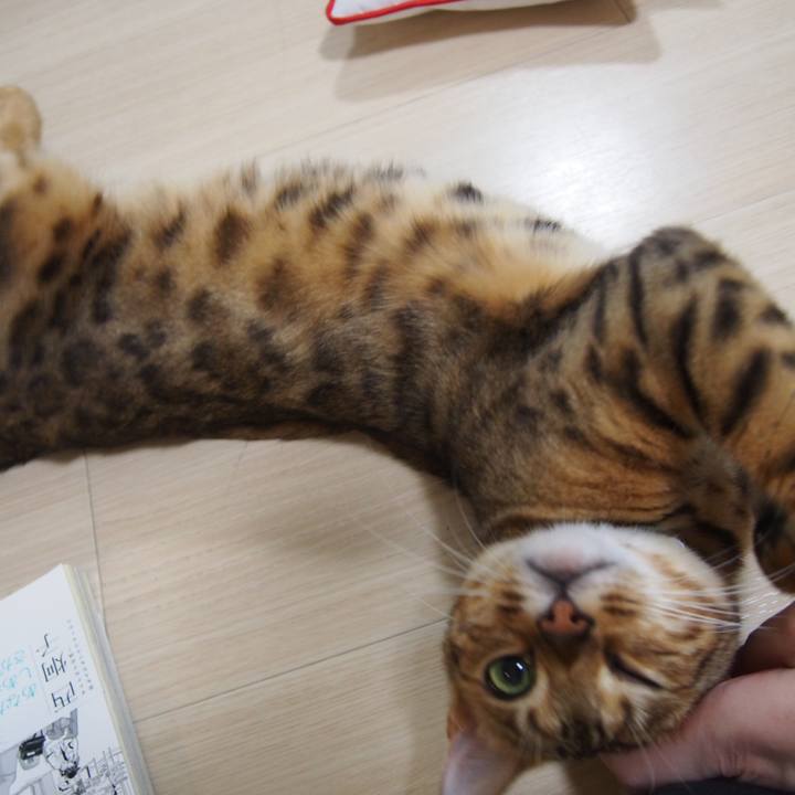 79c213a3 b068 4e76 beea af08bb80c2ad