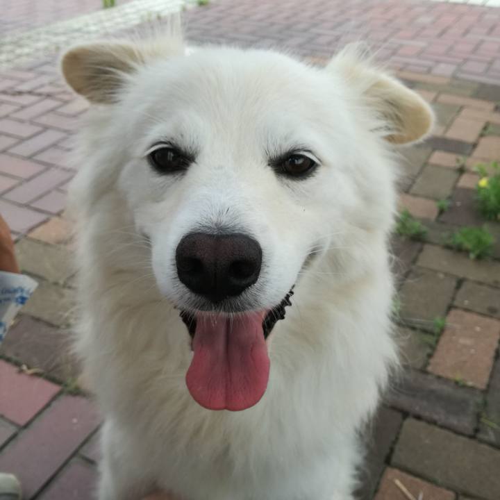 79c2a3e1 ed66 42f3 b96a 6e29ed46e2ba