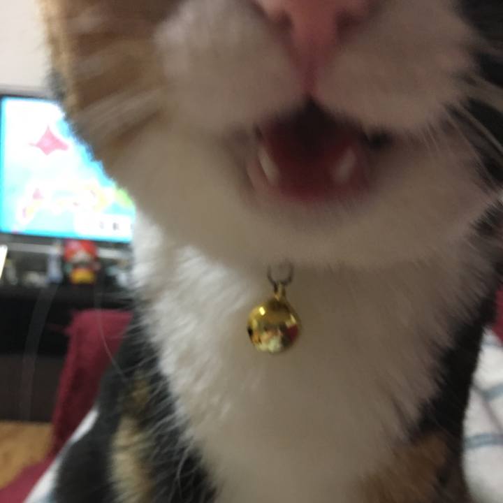 79c310fc 5009 4a5f b93e 5f44f03b75b4