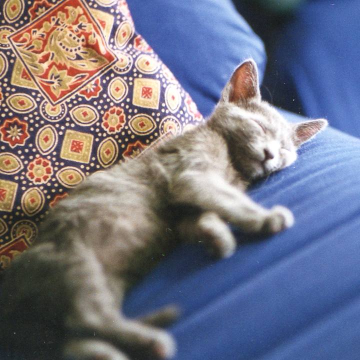 79c375b3 40c3 44b6 826b c2db4772b22a