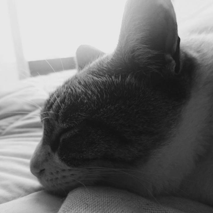 79c37bc4 04aa 4403 8586 dfc09566555e