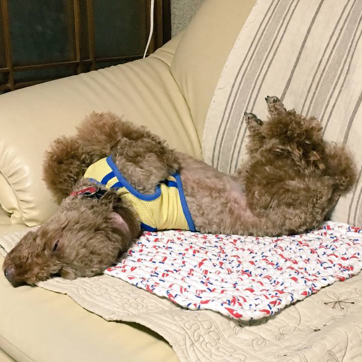 79c44ac3 228f 4e09 8296 9095d7194272