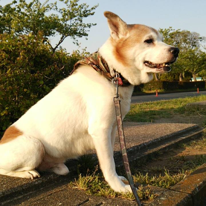 79c44e94 a1bd 415a 89f3 067880a4b025