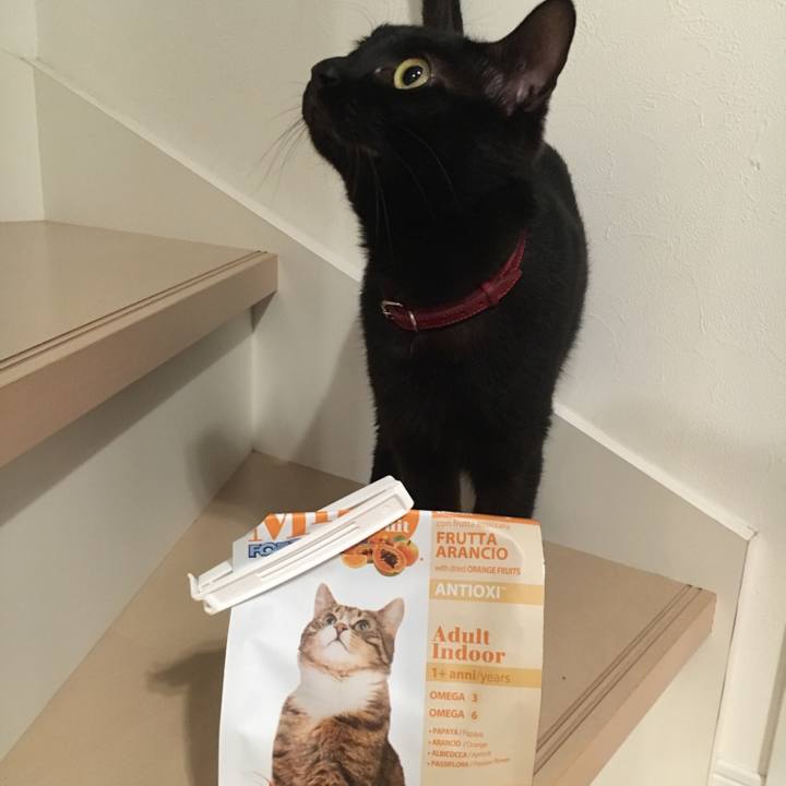 79c58dae 3d0f 4a49 a2c1 c4c730e32e9d