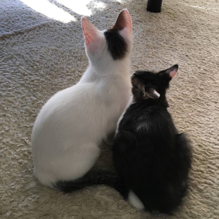 79c60cd5 d4f6 4a26 9d6f 74f536131a28