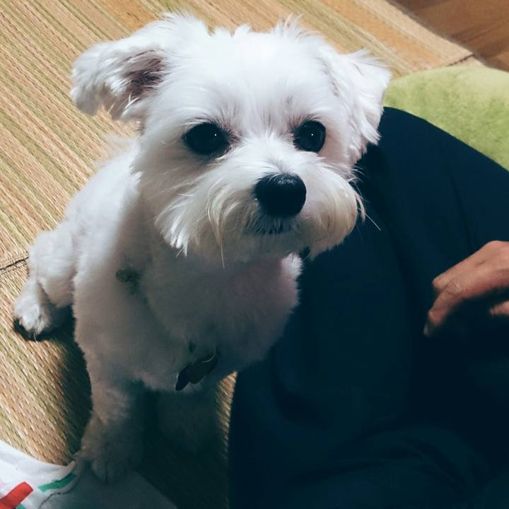 79c69d4d 1fcb 45d8 8ea9 314d6b9d2458