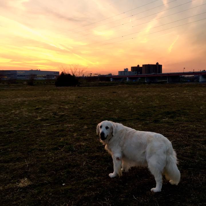 79c6cf38 5a57 4871 9e64 2ec813bf4db2