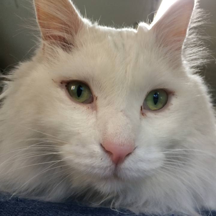 79c6f9b6 4873 4a22 b67d a27ee733ef89