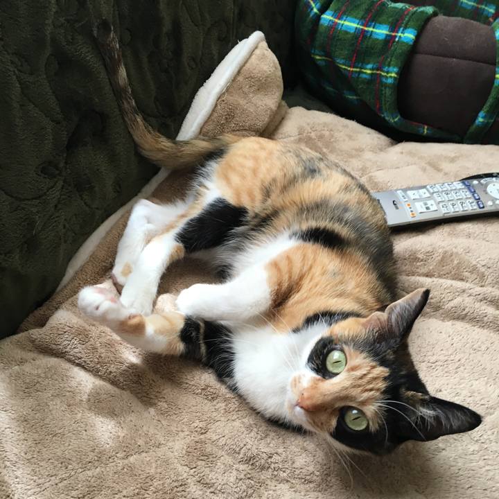 79c70953 a60e 46d6 a1cd f866fb5ad9f7