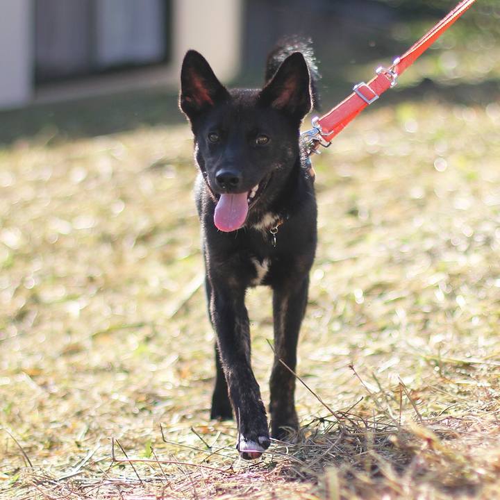 79c785ba 6dd6 455f aaed 42d77d50a4cc