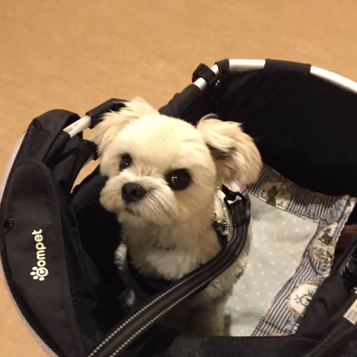 79c851fc 0455 471b 8132 646ad9c83b54