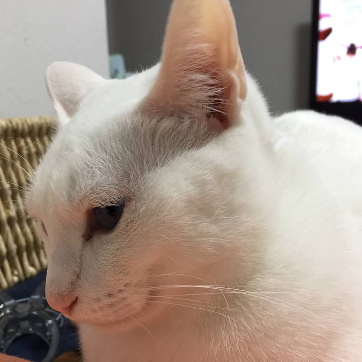 79c8754c efba 4c18 9762 372fda121fe5