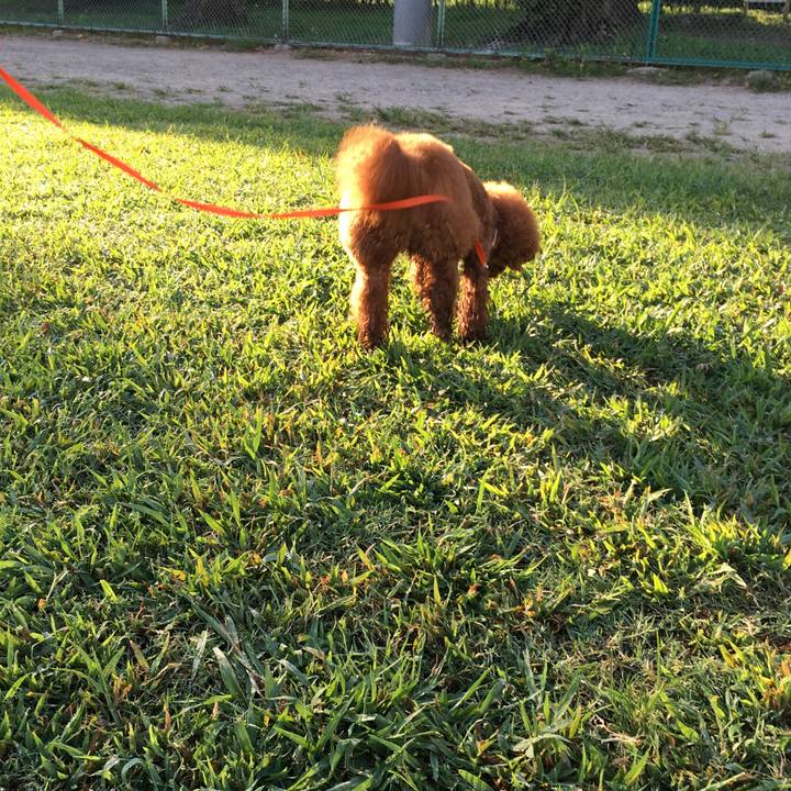 79c96307 fbd4 4a91 95ed 3441a453d5eb