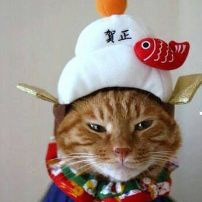 79c9ac85 57f0 4cf1 b01a 8f77fa432472