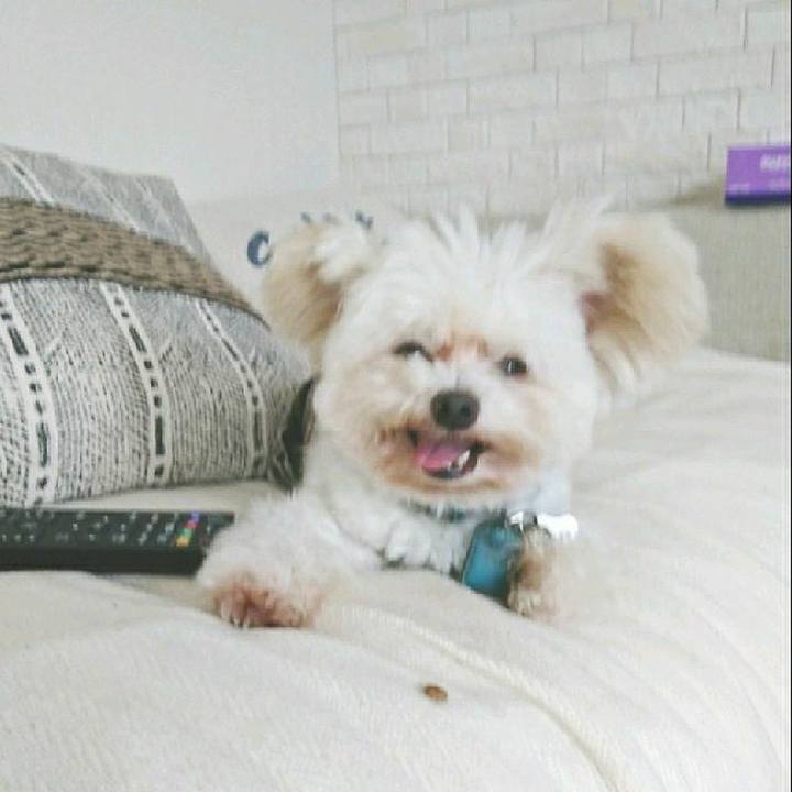 79ca2086 0404 43f7 95a4 879cd8040c00