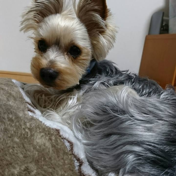 79ca3be7 301f 481c b009 10983706cad2