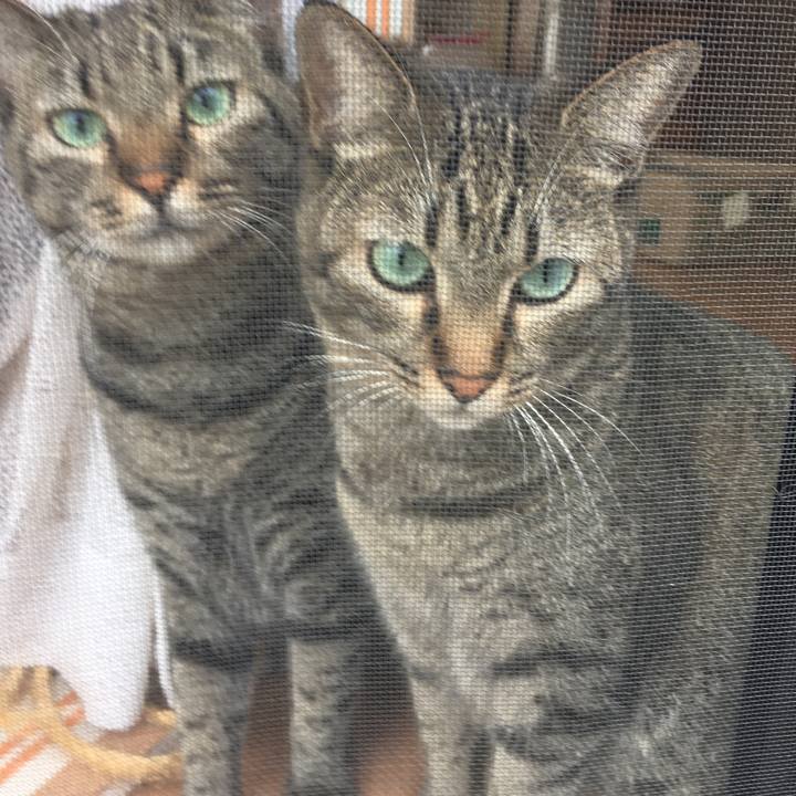 79cb0c81 7604 4bad 8e18 5107273a4d67