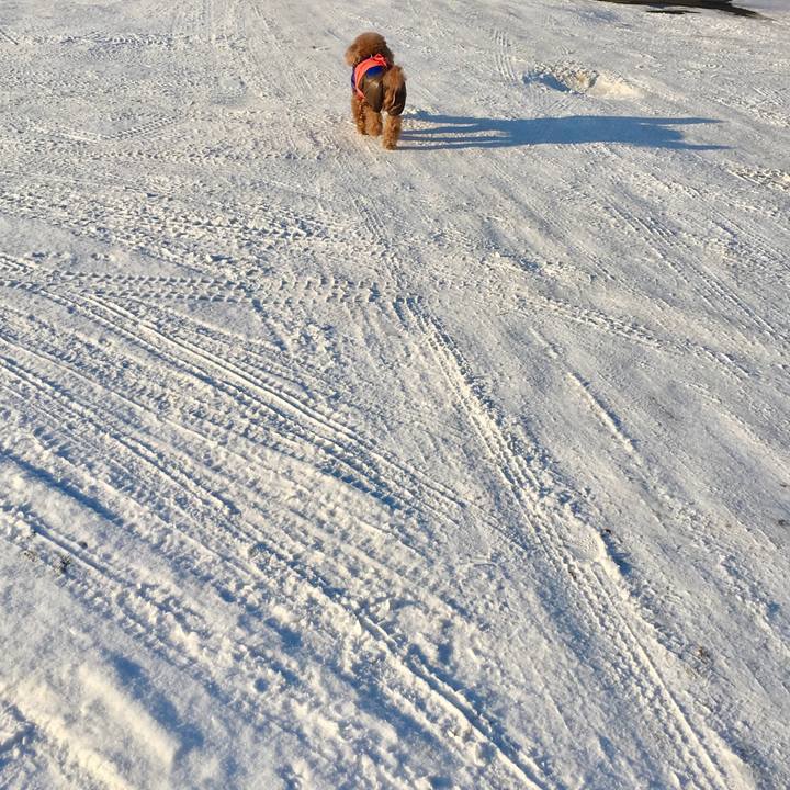 79cb2cd8 d71b 42c6 bf54 dfcee9865f2d