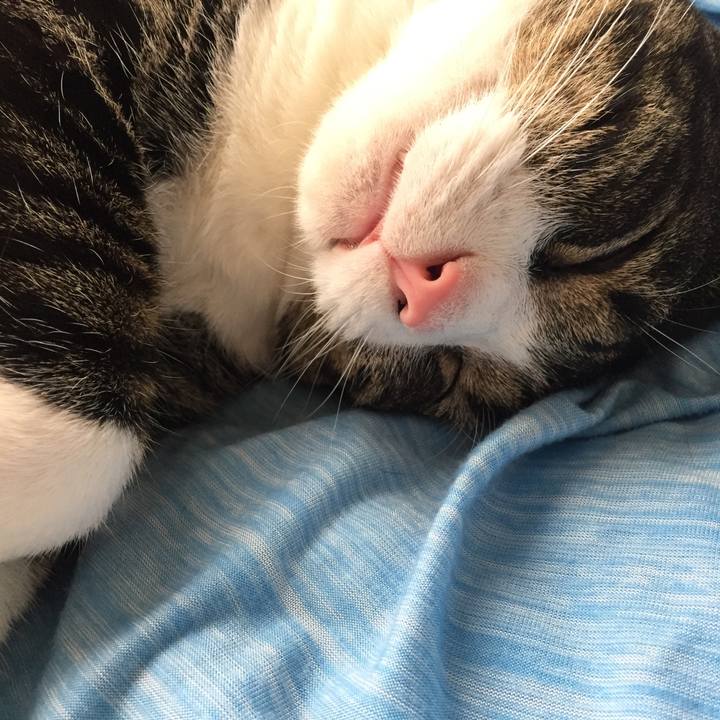 79cb8a02 0315 4d2d b426 b7b6994a3508