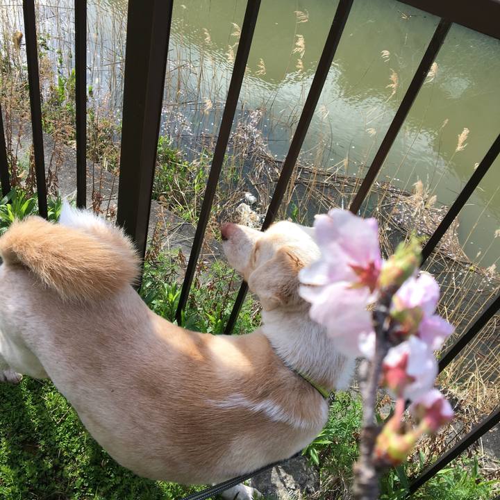 79cc0af6 ca62 4dfd ab03 4e24470d2155