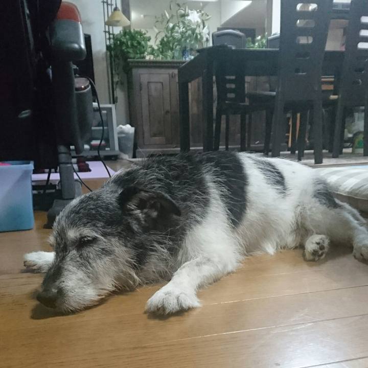 79cc1a35 3ece 41e1 962b 3f86ee7922c1