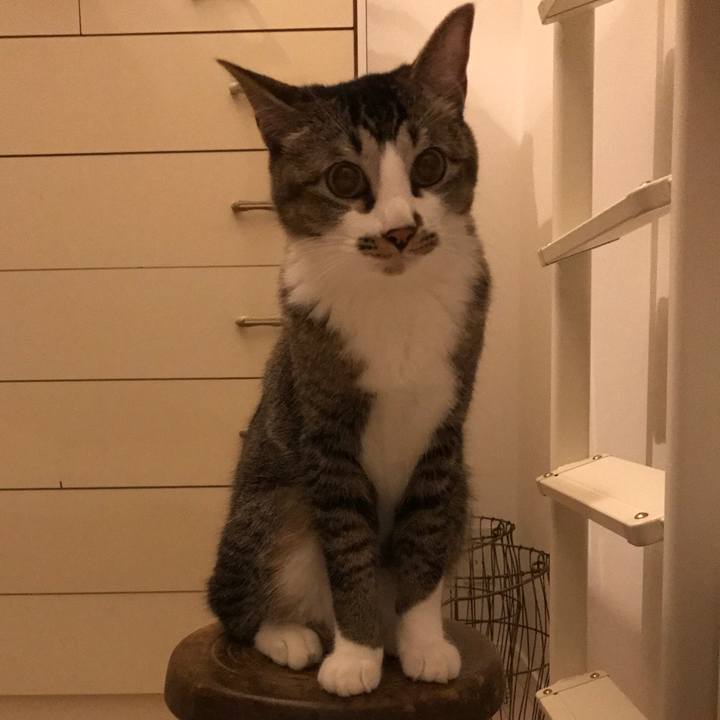 79cd4ce8 6b74 45d4 8a33 18d8b372f569