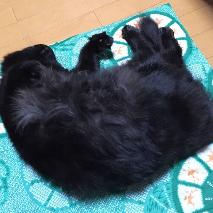 79cd5104 e17a 49c6 b49b 70a3fffa82db