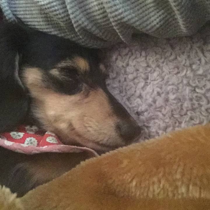 79cd9e81 5423 4186 b207 7beb7bb9b5b7