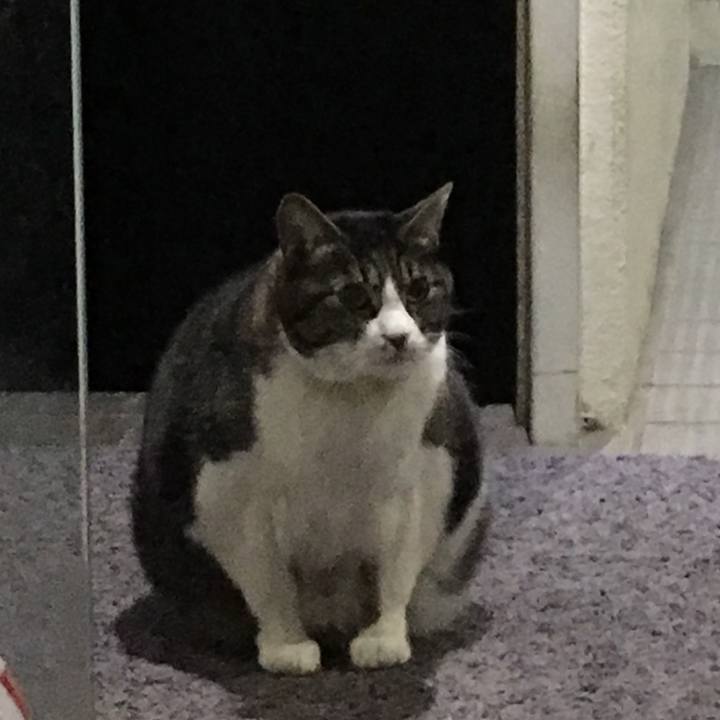 79cdb8da 25f4 4a83 a8e9 1930883aee16